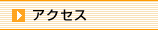 �A�N�Z�X