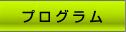�v���O����